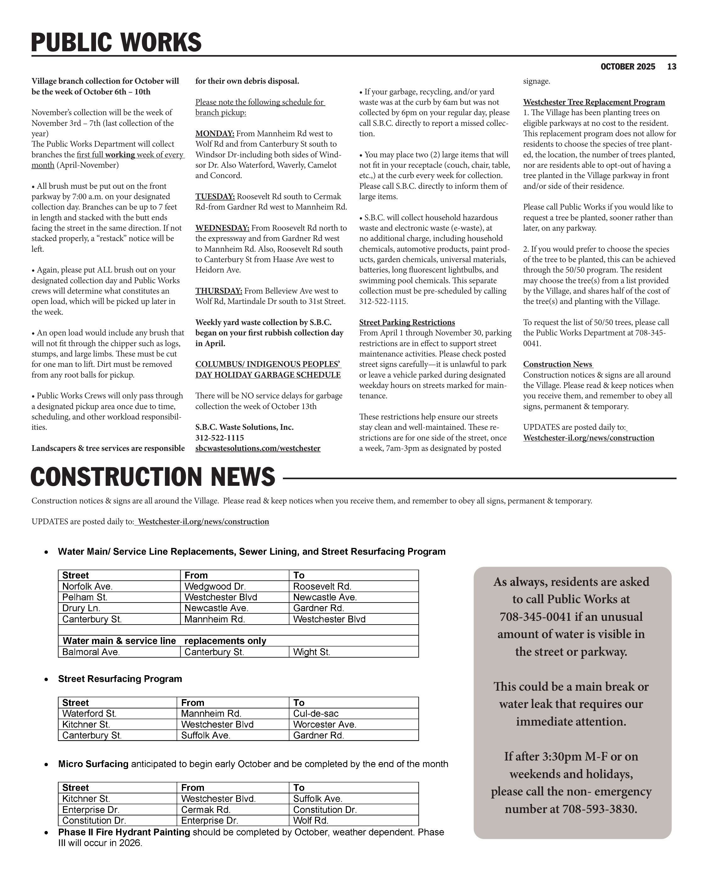 Page 13